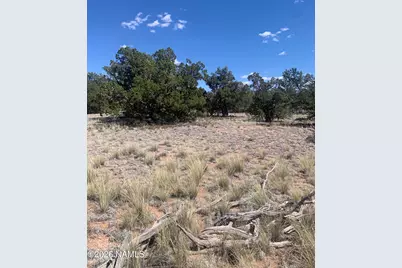 135 S Wyandotte Road, Williams, AZ 86046 - Photo 5
