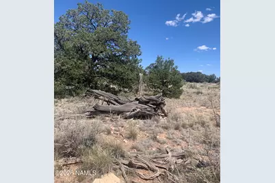 135 S Wyandotte Road, Williams, AZ 86046 - Photo 3