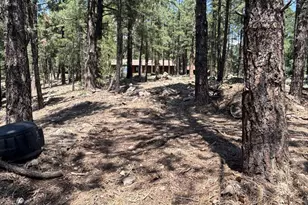 2602 Mesa Trail, Flagstaff, AZ 86005 - Photo 1