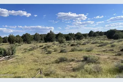 886 SW Ranch Road, Williams, AZ 86046 - Photo 9