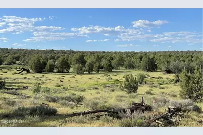 886 SW Ranch Road, Williams, AZ 86046 - Photo 3