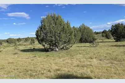 886 SW Ranch Road, Williams, AZ 86046 - Photo 7