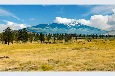 0 E Snow Bowl Estates 2 Lot 7 Avenue, Flagstaff, AZ 86001 - Photo 21