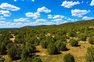 101 W Highland St, Williams, AZ 86046 - Photo 29