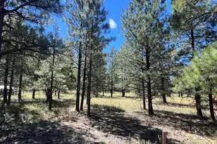 2935 W St Andrews, Williams, AZ 86046 - Photo 1