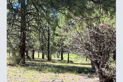 2935 W St Andrews, Williams, AZ 86046 - Photo 11