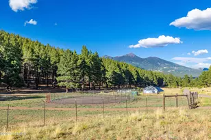 6705 Virgil Wy, Flagstaff, AZ 86001 - Photo 69