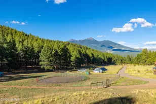6705 Virgil Wy, Flagstaff, AZ 86001 - Photo 83