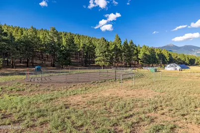 6705 Virgil Way, Flagstaff, AZ 86001 - Photo 61