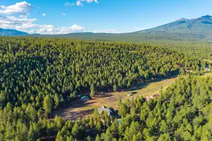 6705 Virgil Wy, Flagstaff, AZ 86001 - Photo 75
