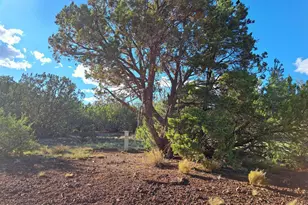 1473 E Barbara Rd, Williams, AZ 86046 - Photo 1