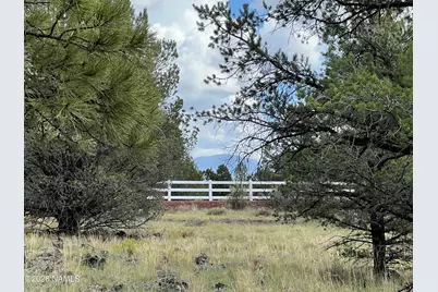 5036 N Cataract Drive, Williams, AZ 86046 - Photo 3
