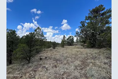 5036 N Cataract Drive, Williams, AZ 86046 - Photo 11