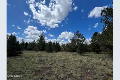 5036 N Cataract Drive, Williams, AZ 86046 - Photo 7