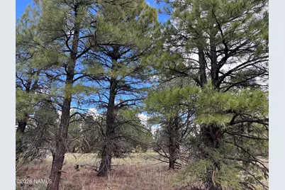 5036 N Cataract Drive, Williams, AZ 86046 - Photo 9