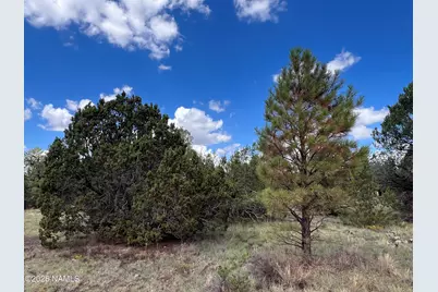 5036 N Cataract Drive, Williams, AZ 86046 - Photo 27