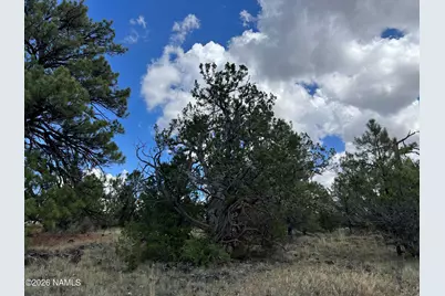 5036 N Cataract Drive, Williams, AZ 86046 - Photo 17