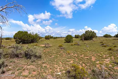 4441 Indian Meadows Road, Williams, AZ 86046 - Photo 19