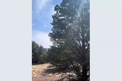 1462 E Barbara Road, Williams, AZ 86046 - Photo 3