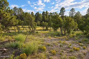 1895 Aspen Ln, Heber-Overgaard, AZ 85298 - Photo 41