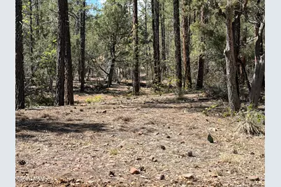 361 W Sierra Pines Drive, Show Low, AZ 85901 - Photo 3