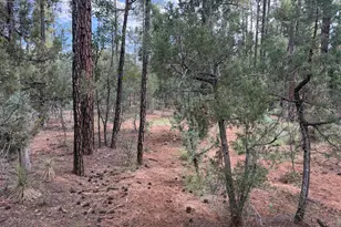 361 W Sierra Pines Dr, Show Low, AZ 85901 - Photo 1