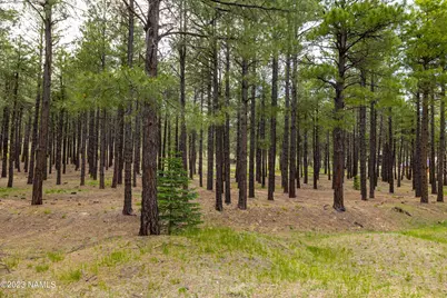 1842 Deer Pass Road, Williams, AZ 86046 - Photo 41