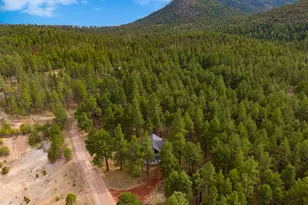 1842 Deer Pass Road, Williams, AZ 86046 - Photo 5