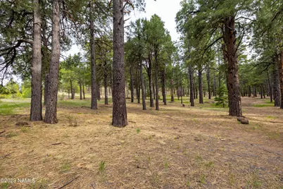 1842 Deer Pass Road, Williams, AZ 86046 - Photo 45