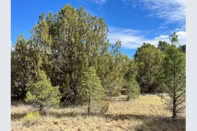 7197 N Red Lake Road, Williams, AZ 86046 - Photo 13