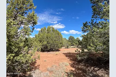 7197 N Red Lake Road, Williams, AZ 86046 - Photo 9