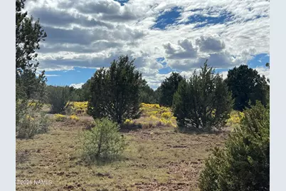 7197 N Red Lake Road, Williams, AZ 86046 - Photo 11
