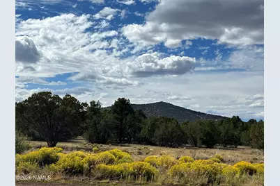 7197 N Red Lake Road, Williams, AZ 86046 - Photo 3