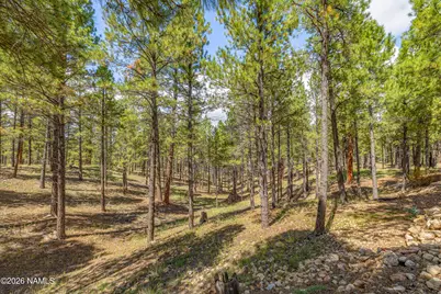 3199 S Hannah Lane, Flagstaff, AZ 86005 - Photo 39