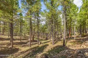 3199 S Hannah Ln, Flagstaff, AZ 86005 - Photo 39
