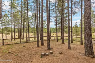 5045 E Lake Country Rd, Flagstaff, AZ 86004 - Photo 43