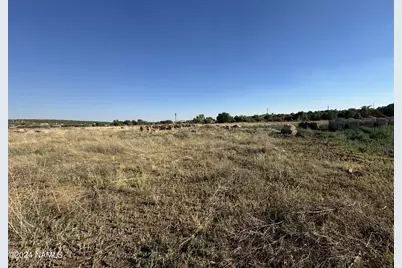 48501 N Double A. Ranch Road, Ash Fork, AZ 86320 - Photo 21