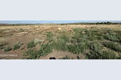 48501 N Double A. Ranch Road, Ash Fork, AZ 86320 - Photo 11