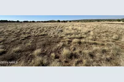 48501 N Double A. Ranch Road, Ash Fork, AZ 86320 - Photo 13