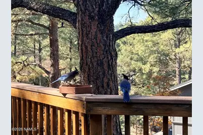 2115 N Fox Hill Road, Flagstaff, AZ 86004 - Photo 45
