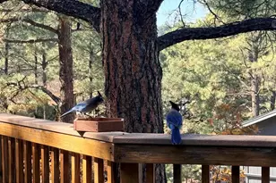 2115 N Fox Hill Rd, Flagstaff, AZ 86004 - Photo 45