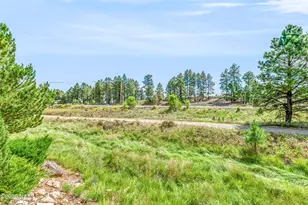 607 W Martys Way, Flagstaff, AZ 86005 - Photo 29