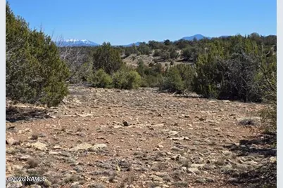 8001 W Clear Fork Loop, Williams, AZ 86046 - Photo 11