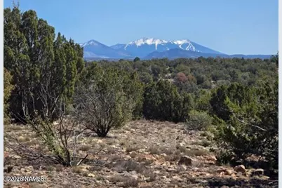 8001 W Clear Fork Loop, Williams, AZ 86046 - Photo 1