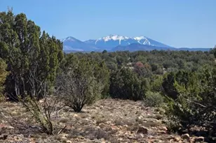 8001 W Clear Fork Loop, Williams, AZ 86046 - Photo 1