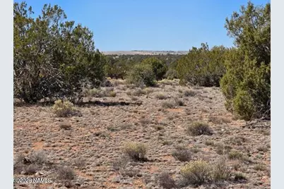 8001 W Clear Fork Loop, Williams, AZ 86046 - Photo 7