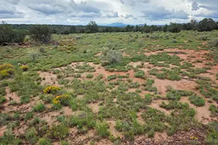 6437 Bird Dog Cir, Williams, AZ 86046 - Photo 31