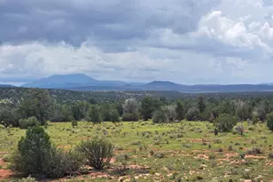 6437 Bird Dog Cir, Williams, AZ 86046 - Photo 47