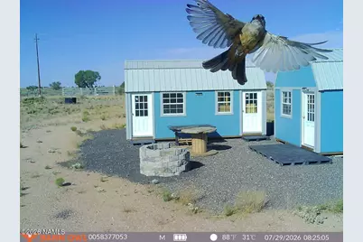 1925 S Wildflower Way #356, Williams, AZ 86046 - Photo 1