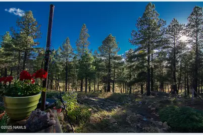 3148 Pioneer Trail, Flagstaff, AZ 86005 - Photo 85